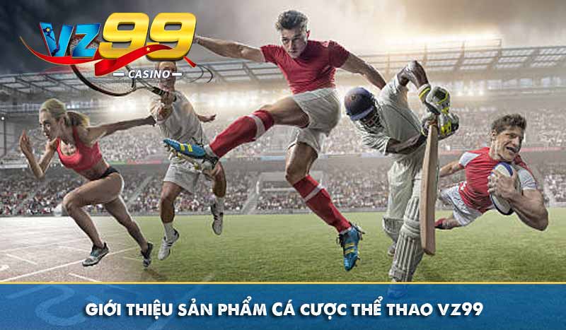 Giới thiệu 4 giới thiệu sản phẩm cá cược thể thao vz99