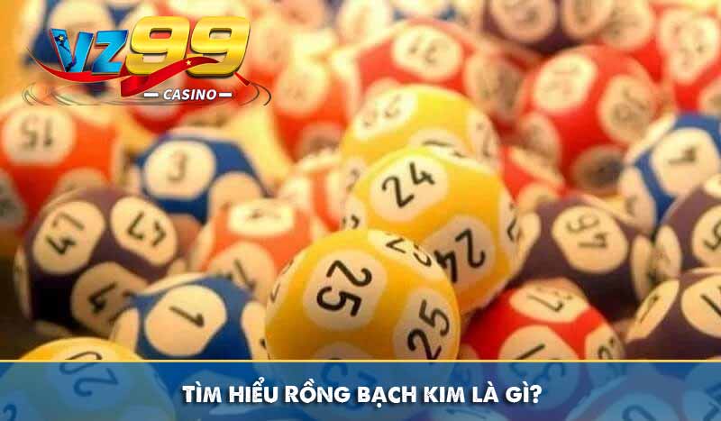 Rồng Bạch Kim là gì và một số phương pháp áp dụng hiệu quả 2 Tìm hiểu Rồng bạch kim là gì?